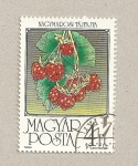 Stamps Hungary -  Frambuesas
