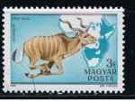 Stamps : Europe : Hungary :  Nagy kudu