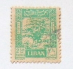 Stamps Libya -  ARBOL