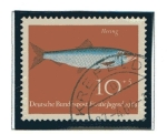 Stamps Germany -  Peces - Arengue         1/4