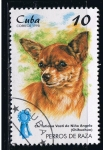 Stamps Cuba -  Perros de caza  Chihuahua