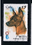 Stamps : America : Cuba :  Perros de caza  Xolpitzcuintle