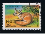 Stamps Madagascar -  Fenecus zerda