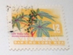 Stamps Vietnam -  FLORA