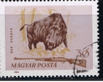 Stamps : Europe : Hungary :  Sus escrofa
