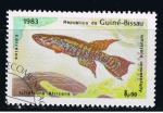 Stamps : Africa : Guinea_Bissau :  Aphyosemion buaianum