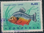 Stamps Venezuela -  PECES DIVERSOS. CARIBE (SERRASALMUS NOTATUS). Y&T Nº 752