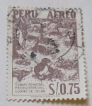 Stamps : America : Peru :  GUANAY PRINCIPAL PRINCIPAL PRODUCTOR DEL GUANO DE ISLAS