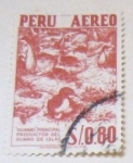 Stamps : America : Peru :  GUANAY PRINCIPAL PRODUCTOR DEL GUANO DE ISLAS