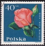 Sellos de Europa - Polonia -  
