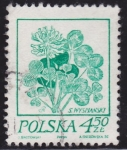 Stamps Poland -  