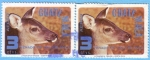 Stamps Guatemala -  Venado de Cola Blanca