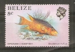 Stamps Belize -  PEZ   LIMPIADOR