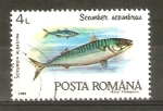 Stamps Romania -  SCOMBER   SCOMBRUS