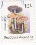 Sellos de America - Argentina -  Psilocybe cubensis
