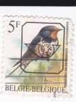 Stamps Belgium -  aves