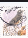 Stamps Belgium -  aves