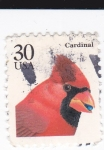 Stamps United States -  Cardinal