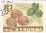 Stamps Romania -  nueces