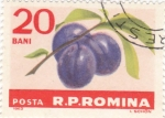 Stamps Romania -  ciruelas