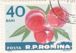 Stamps Romania -  melocotones