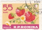 Sellos de Europa - Rumania -  fresas