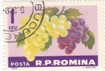 Stamps Romania -  uva blanca  y negra