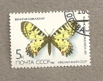 Stamps Russia -  Mariposa Allancastria caucasica