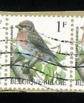 Sellos de Europa - Blgica -  Sizerin Flamme