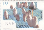Stamps Spain -  coprinus comatus   (A)