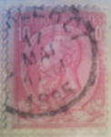 Stamps Belgium -  BELGIQUE 1884