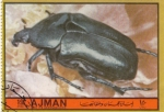 Stamps United Arab Emirates -  escarabajo