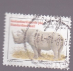 Stamps : Africa : South_Africa :  Rinoceronte blanco