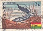 Stamps Ghana -  Mud-fish
