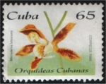 Stamps : America : Cuba :  Orquídeas cubanas