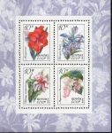 Stamps : Europe : Russia :  Flores tropicales