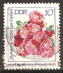 Stamps Germany -  Exposición Internacional de Rosas,1972 en DDR-Berger Rose.