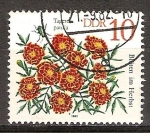 Stamps Germany -  Flores de otoño. Caléndulas francesas.DDR