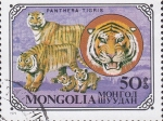 Stamps Mongolia -  tigres