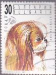 Stamps Bulgaria -  Pequinés