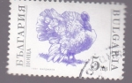 Stamps Bulgaria -  pavo