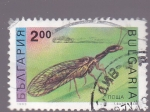 Sellos de Europa - Bulgaria -  insectos- 