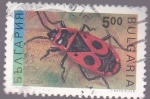 Stamps Bulgaria -  insectos- mariquita
