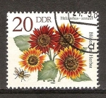 Stamps Germany -  Flores de otoño. Girasoles-DDR