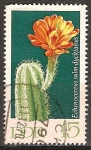 Stamps Germany -  Cactus erizo - Echinocereus salm-dyckianus-DDR