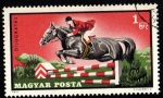 Stamps Hungary -  DIJUGRATAS