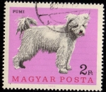 Stamps Hungary -  PUMI
