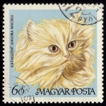 Stamps Hungary -  KREMSZINU ANGORA MACSKA