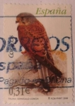 Stamps Spain -  fauna:cernicalo comun 2008