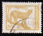 Sellos de America - Argentina -  Puma